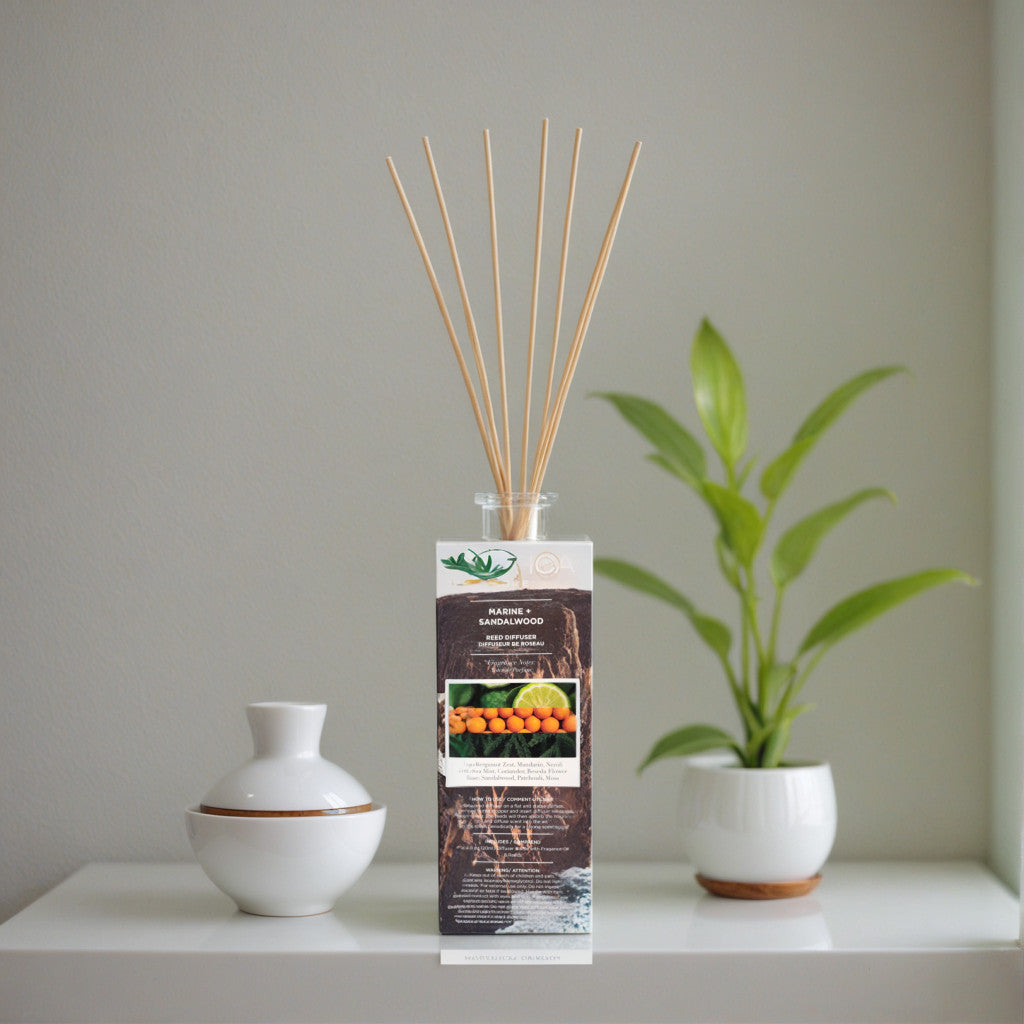 Marine+Sandalwood by Nautica,  4 oz Reed Diffuser - Marine+Sandalwood