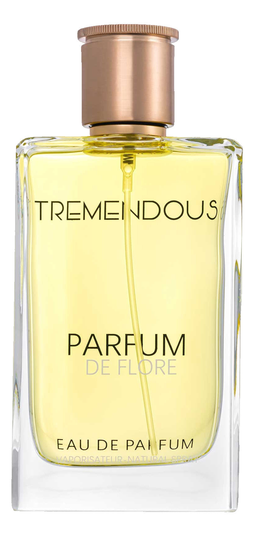 Parfum De Flore by Tremendous Parfums, 3.4 oz EDP Spray for Unisex
