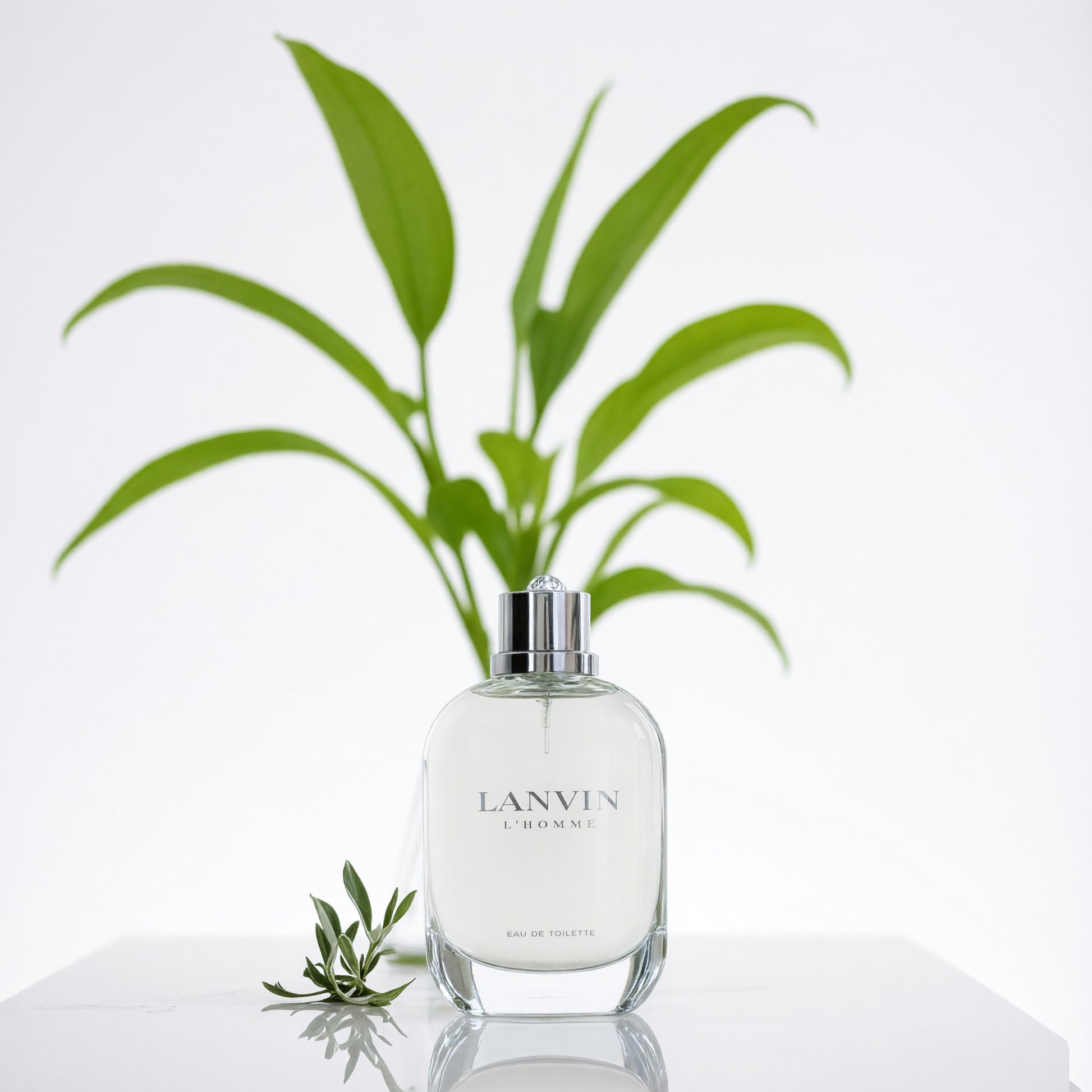 Lanvin L'Homme by Lanvin, 3.4 oz EDT Spray for Men