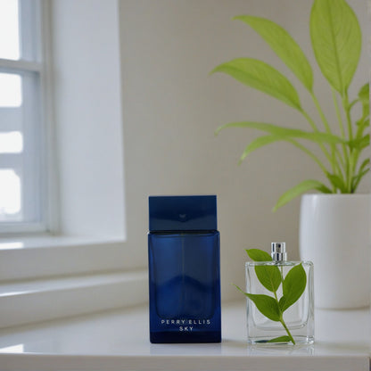 Sky by Perry Ellis, 3.4 oz EDT Spray for Men