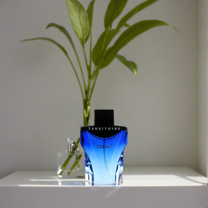 Territoire Cobalt by YZY, 3.4 oz EDP Spray for Men