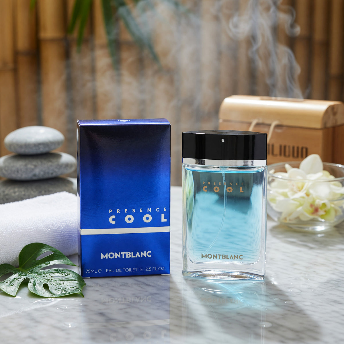 Presence Cool by Mont Blanc, 2.5 oz EDT Spray for Men 